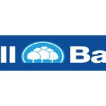 Bell Bank Reviews